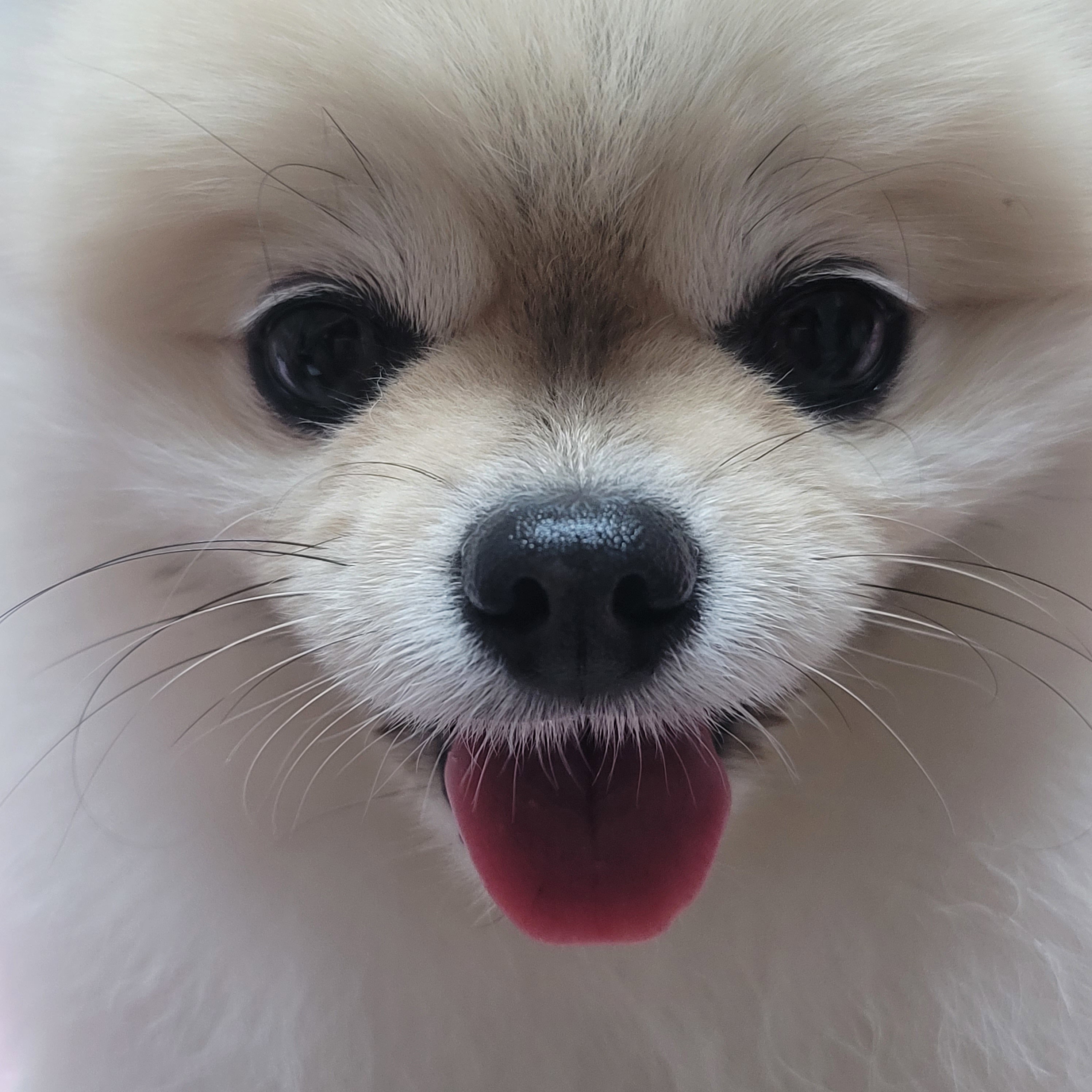 HJfTWb
