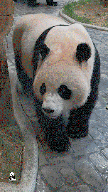 HKCPRB.gif