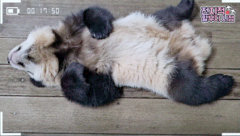 HLbCdx.gif