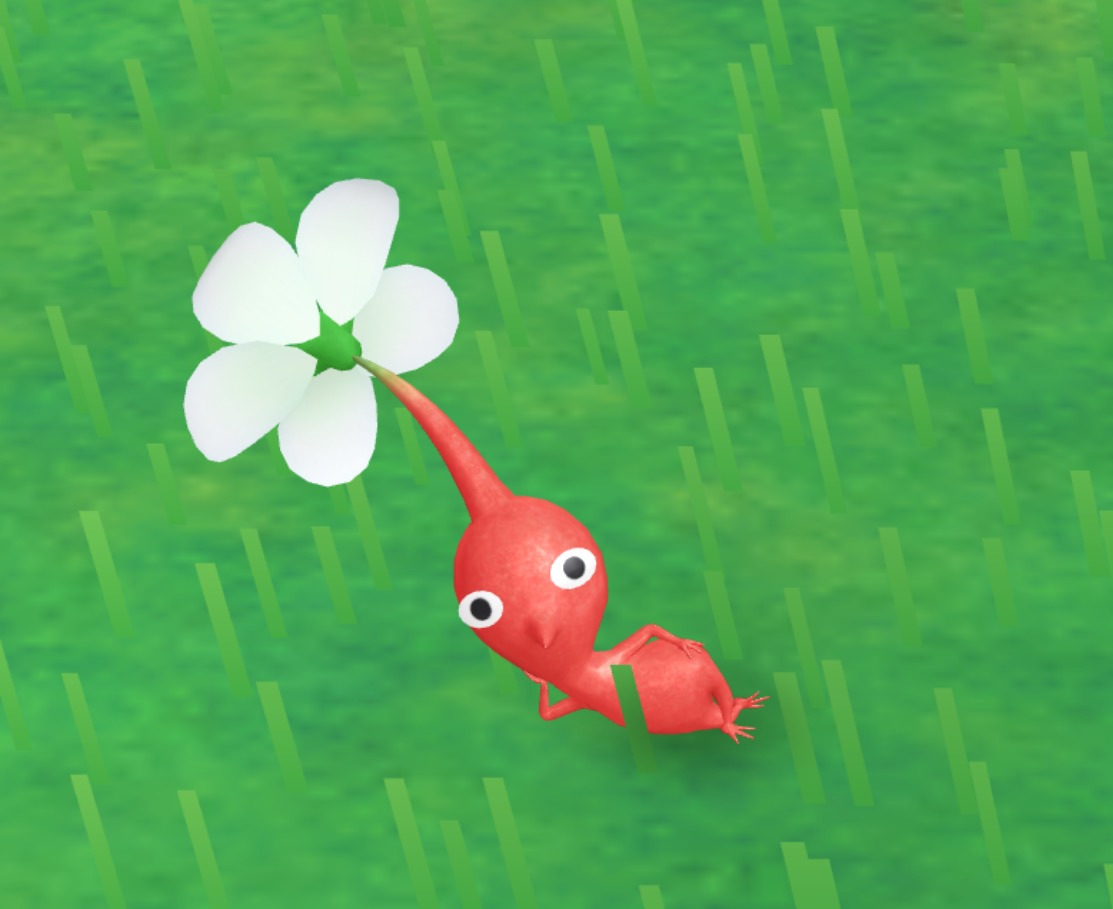 HOIUBk