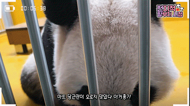 HOloTI.gif