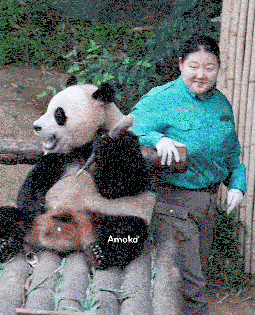 HPSeaf.gif
