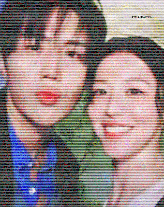 HSDbji.gif