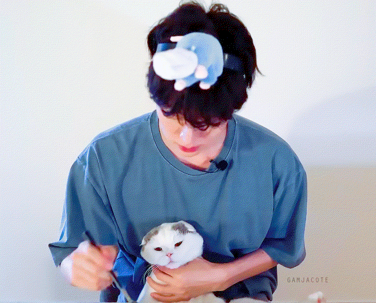 HShfMk.gif