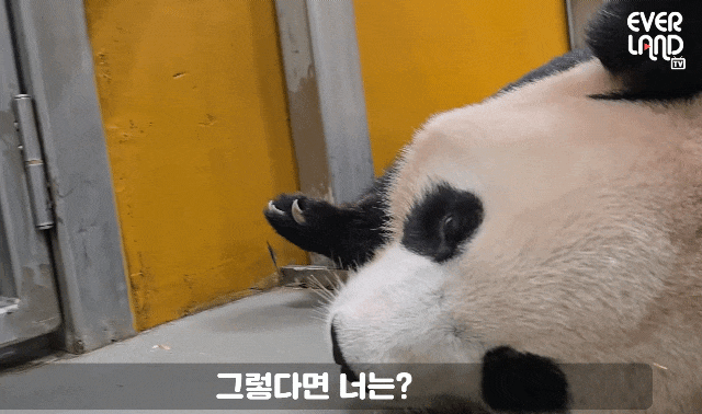 HTacqv.gif