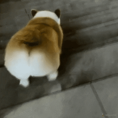 HXPgxI.gif