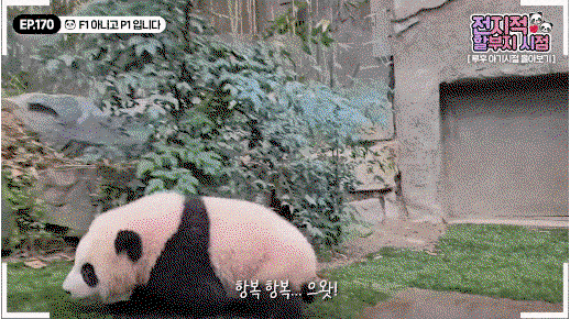 HZBcxn.gif