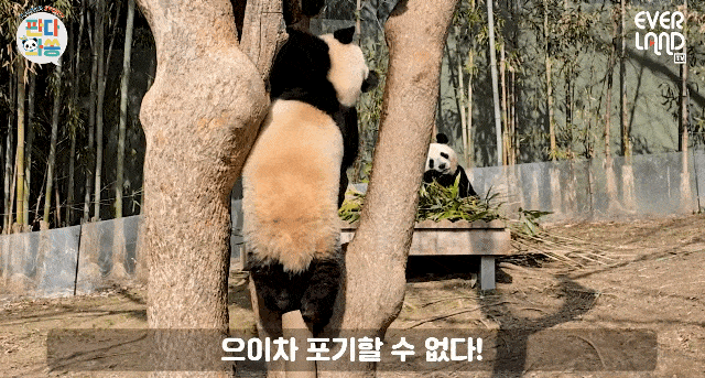 HZiHmP.gif