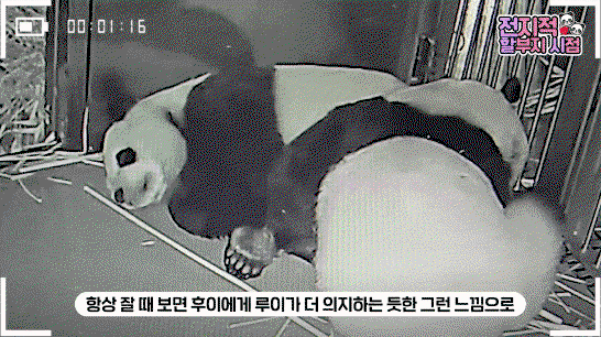 Hajnxx.gif