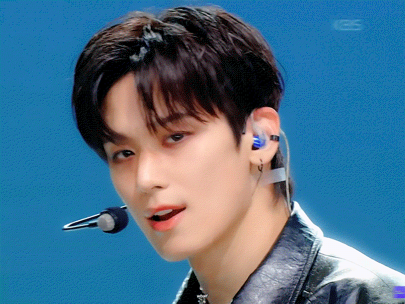 HawmTM.gif