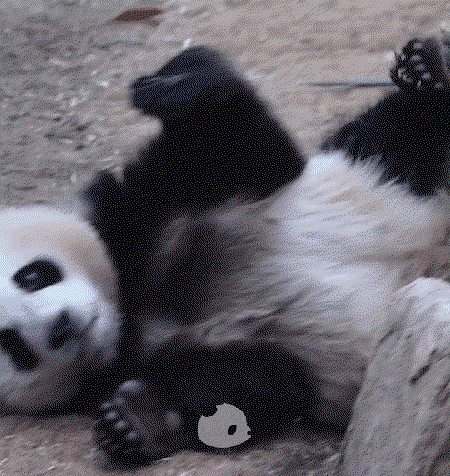 HbwQqX.gif