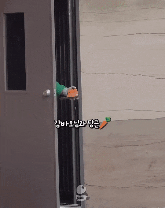 HdDFak.gif
