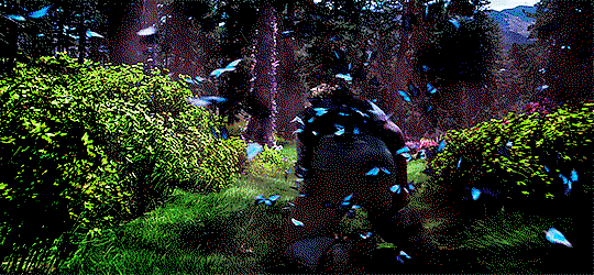 HdvrGZ.gif