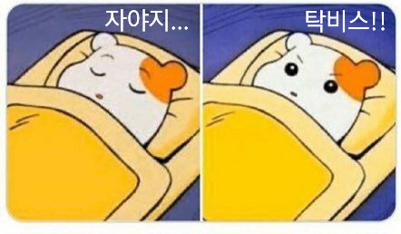 HfBqvS