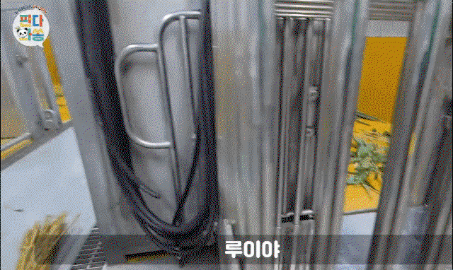 HfadhK.gif