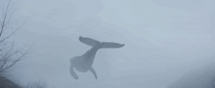 HgMTZG.gif