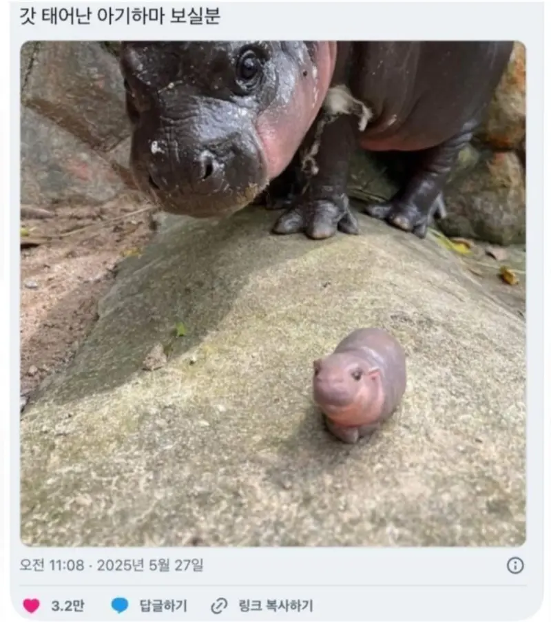 HhkmEF
