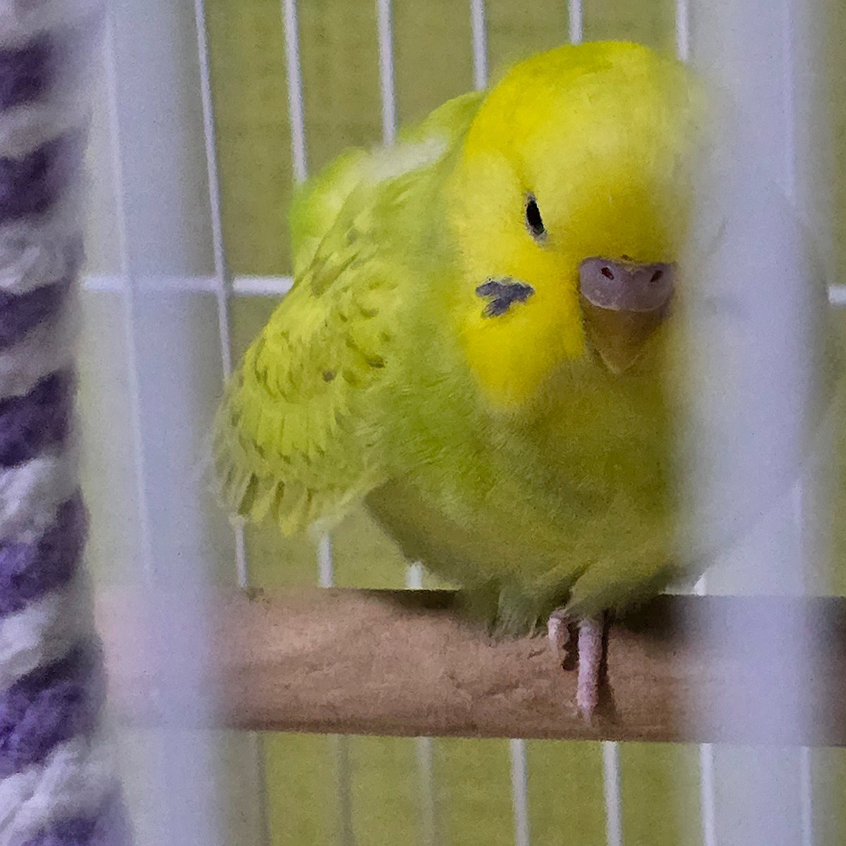 HjRBjE
