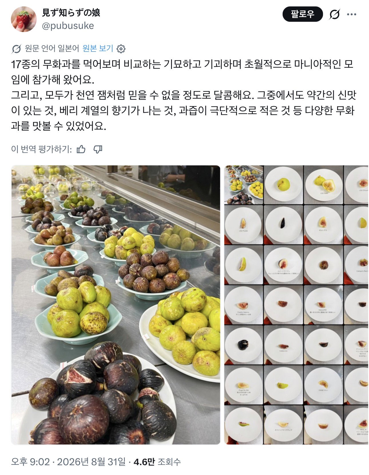 HkqkLS