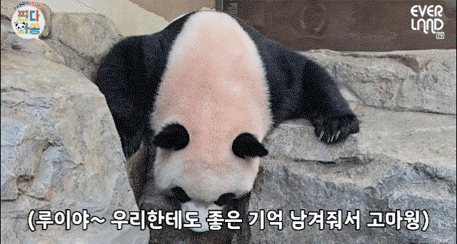 HkwWLJ.gif