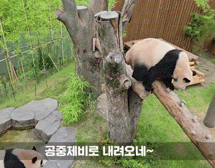 HkyoGt.gif
