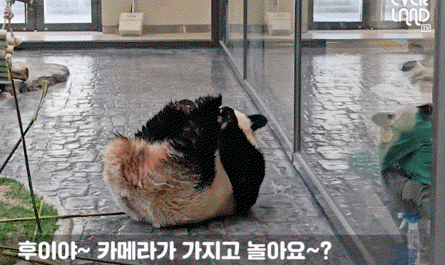 HlIZvI.gif