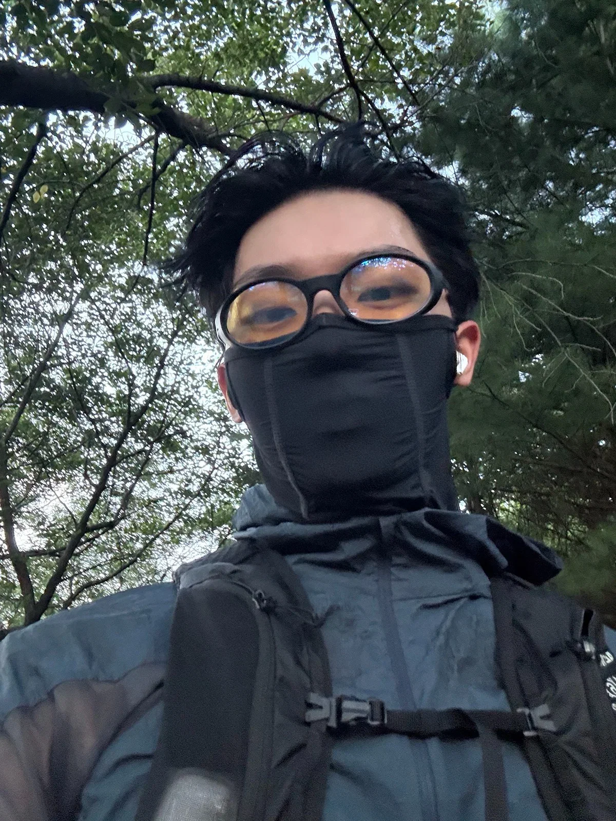 HlzVtH