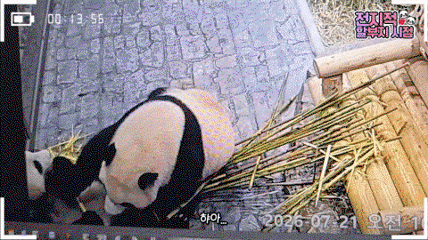 HmAJBV.gif