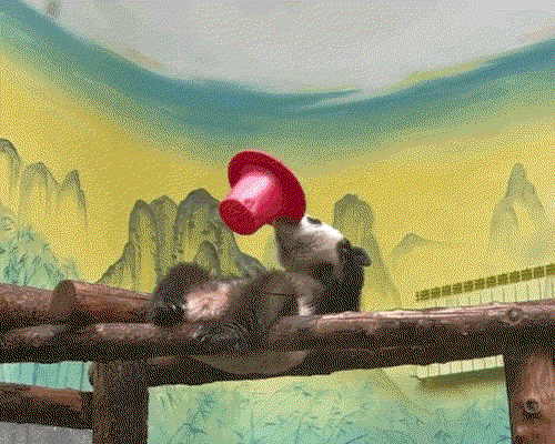 HmEIbc.gif