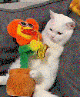 HnInHX.gif