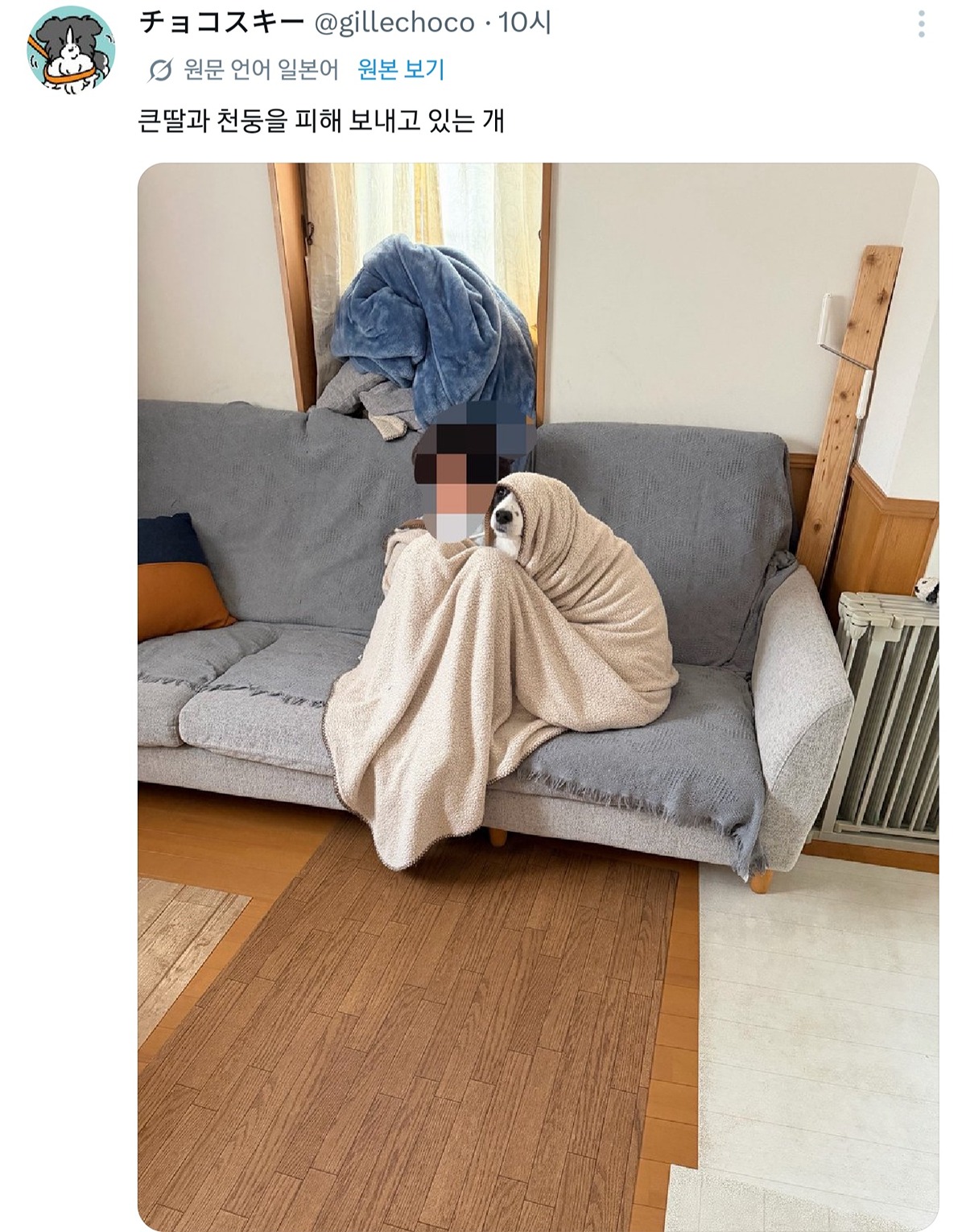 HoCSgO