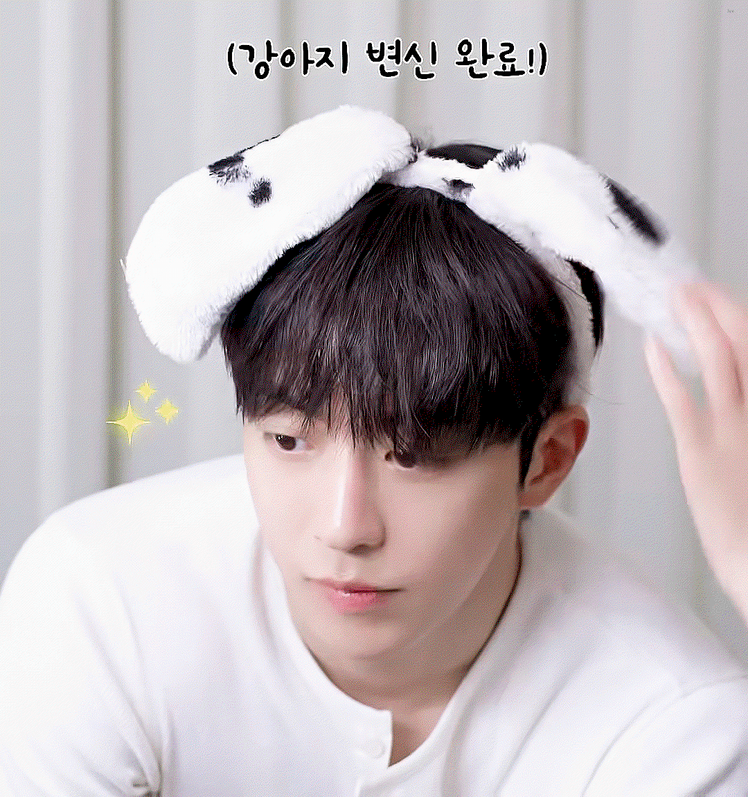 HoKOYN.gif