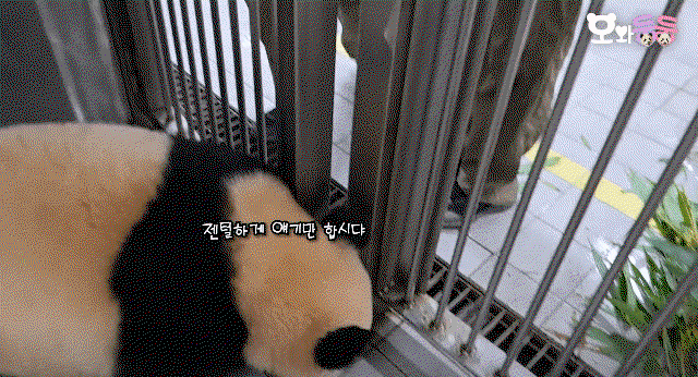 HodTIm.gif