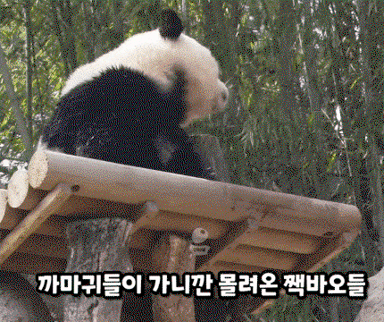 HpYKim.gif