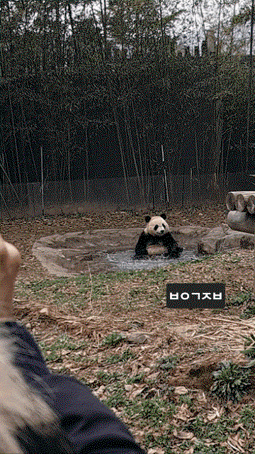 HqNoAC.gif