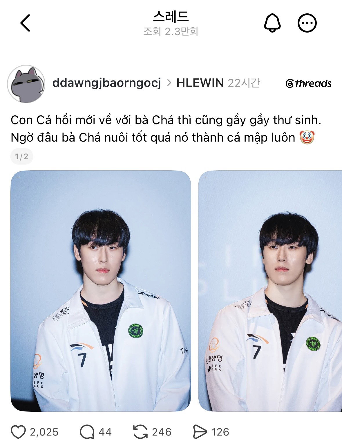 HsAEXu