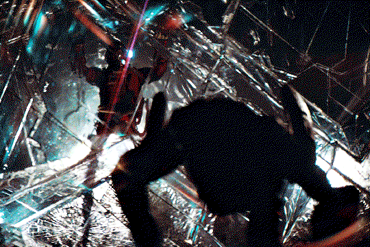 HsArbA.gif