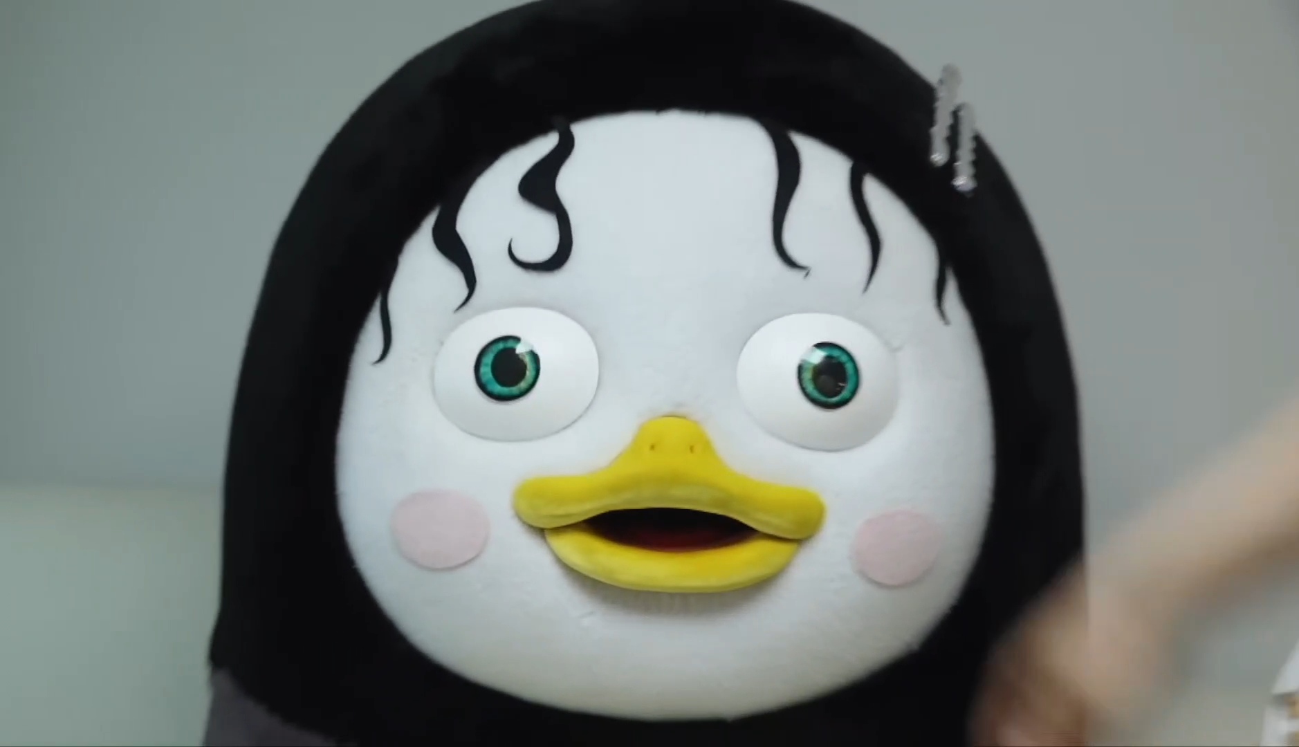 HsIsbs