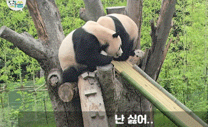 Hsrvxj.gif