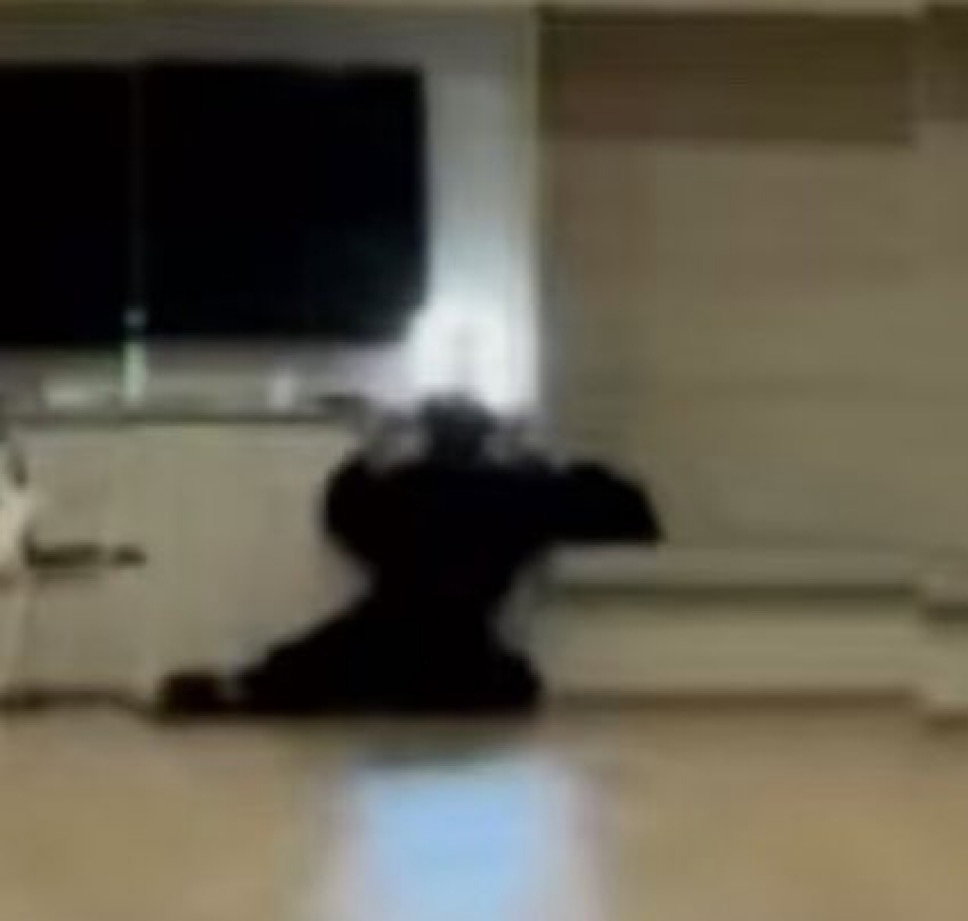 HwjVvU