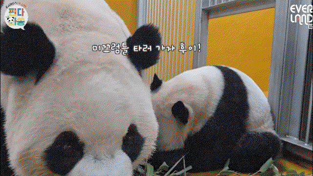 HxTPKQ.gif