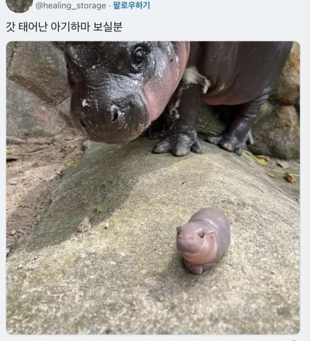 HzmYdk