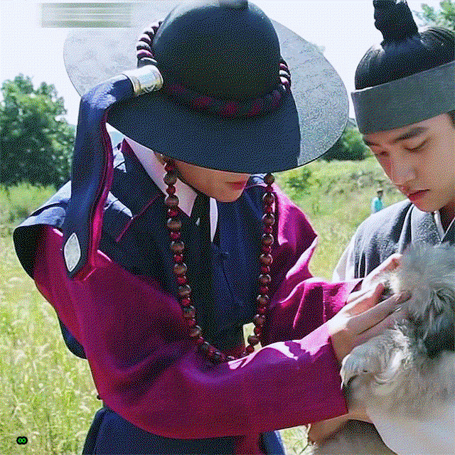 IAANos.gif