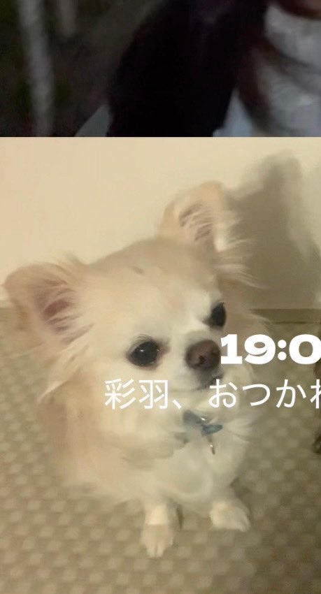IAKHtX