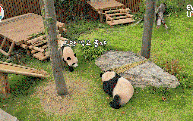 IAhZvm.gif