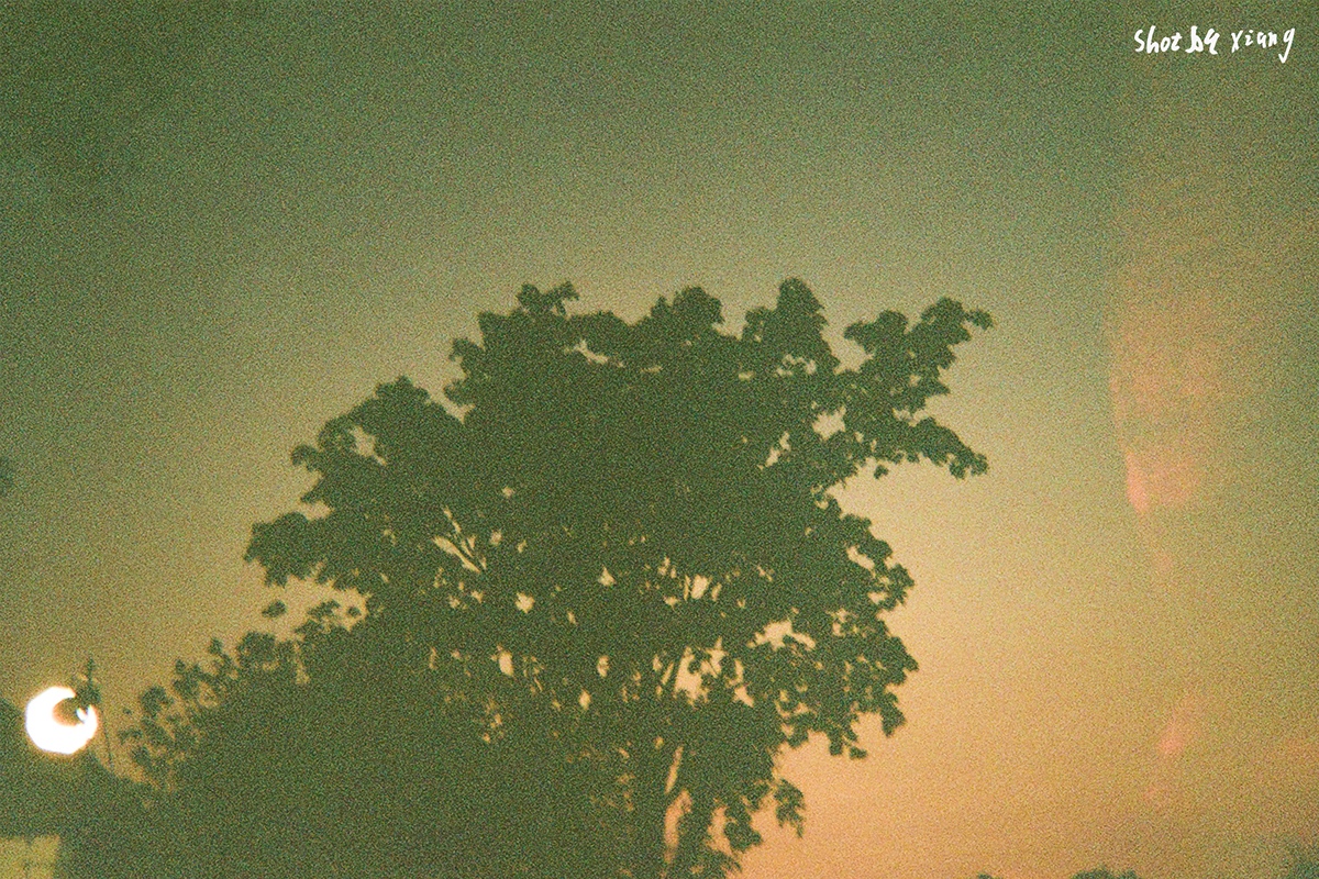 ICpYYl