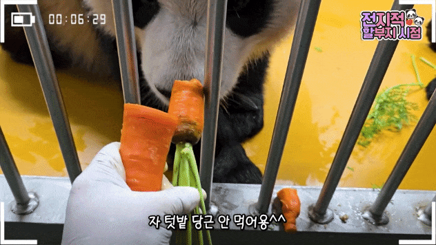 IEfpIl.gif