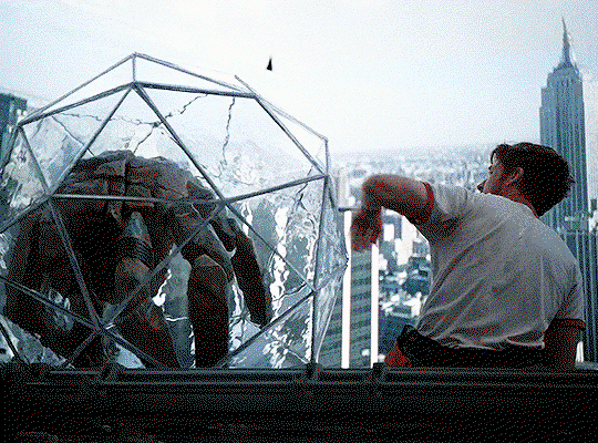 IEwIbR.gif