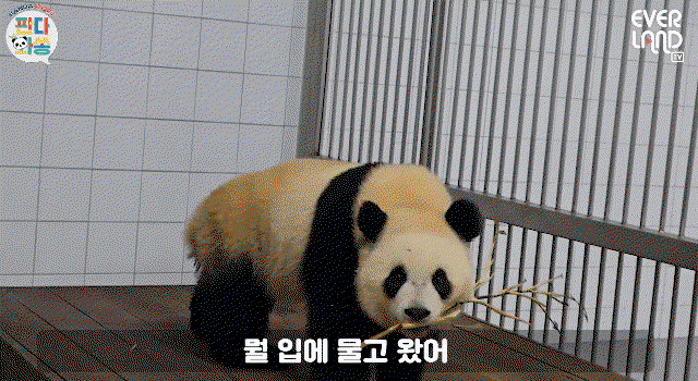 IGTPRB.gif