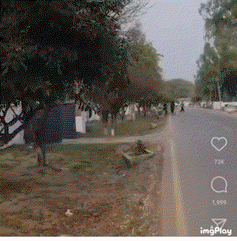 ILObPf.gif